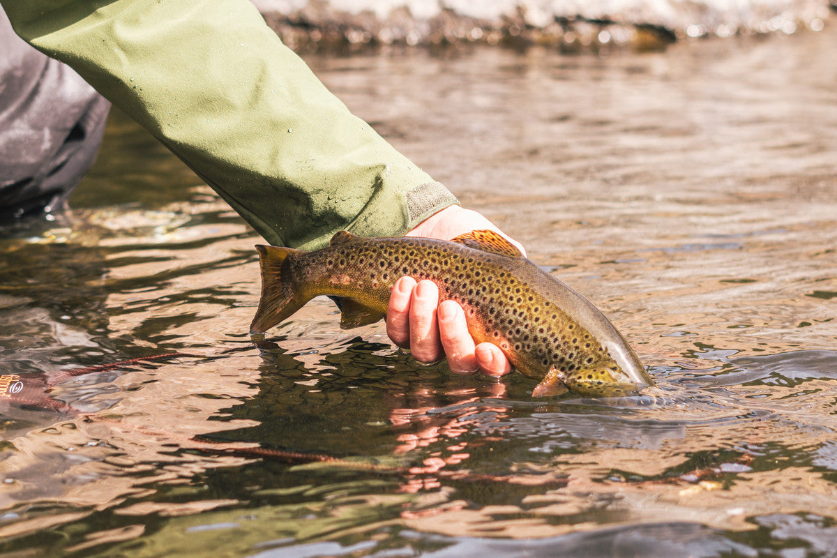 Our Favorite Flies for Late Winter and Early Spring Fishing