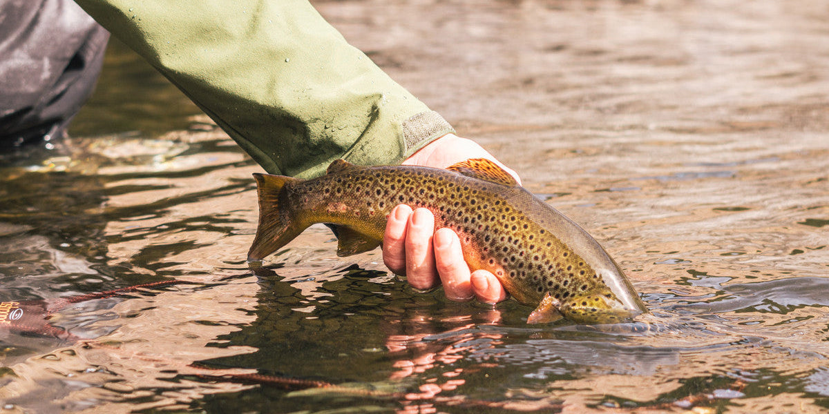 Our Favorite Flies for Late Winter and Early Spring Fishing