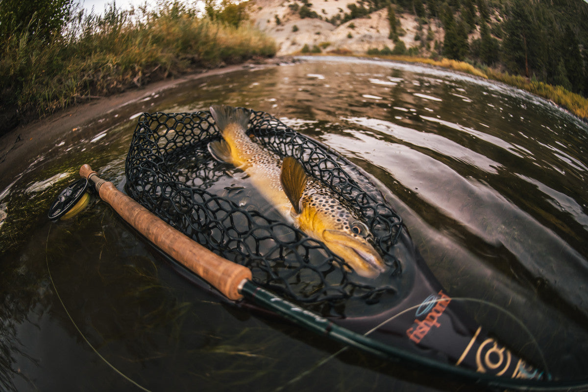 Know Before You Go: Understand Water Temps and Flow Charts