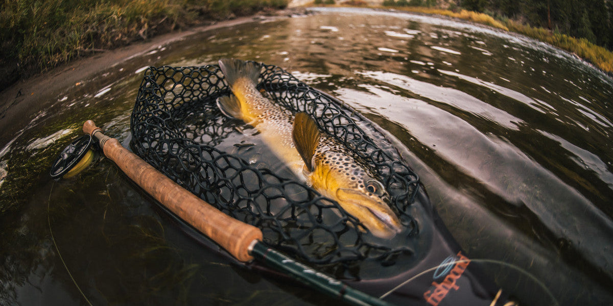Know Before You Go: Understand Water Temps and Flow Charts