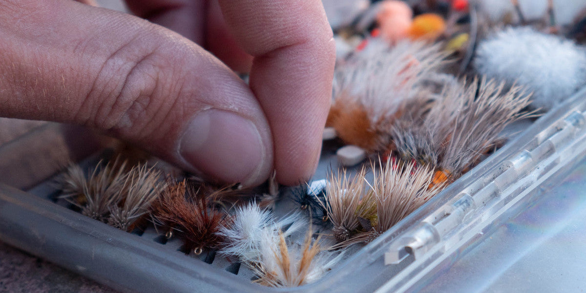 Keeping Your Dry Fly Dry – A Conversation About Floatants