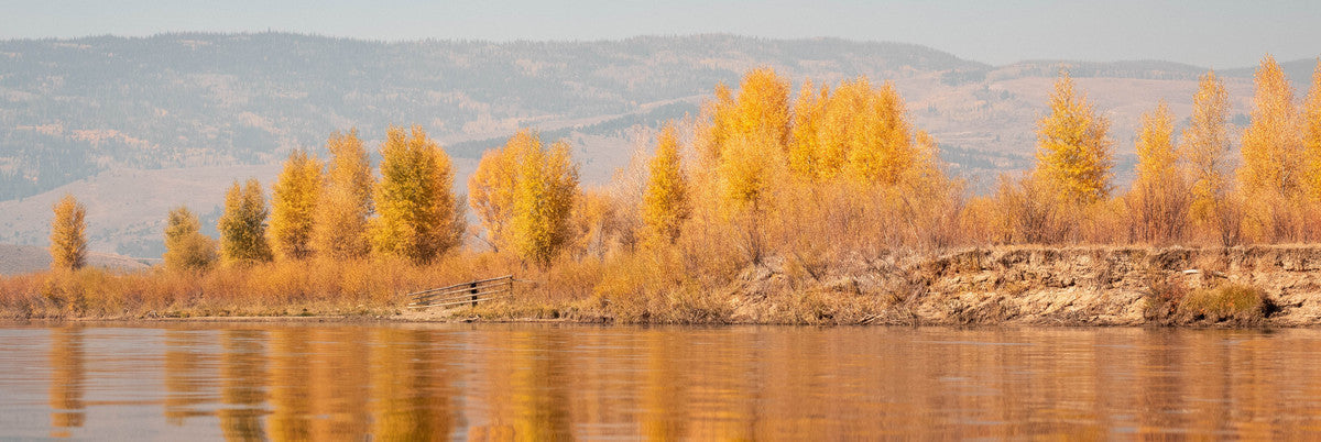 Gear Up With These Fall Fly Fishing Essentials