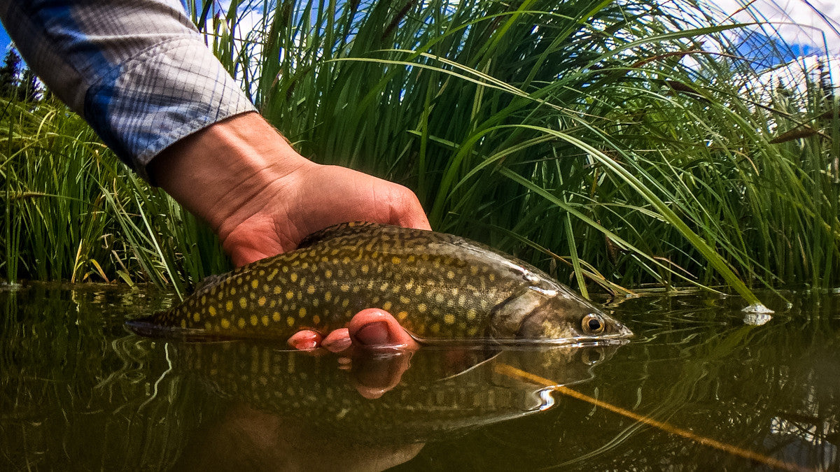 Uniquely Colorado: Fishing The Gunnison Gorge & The Flat Tops