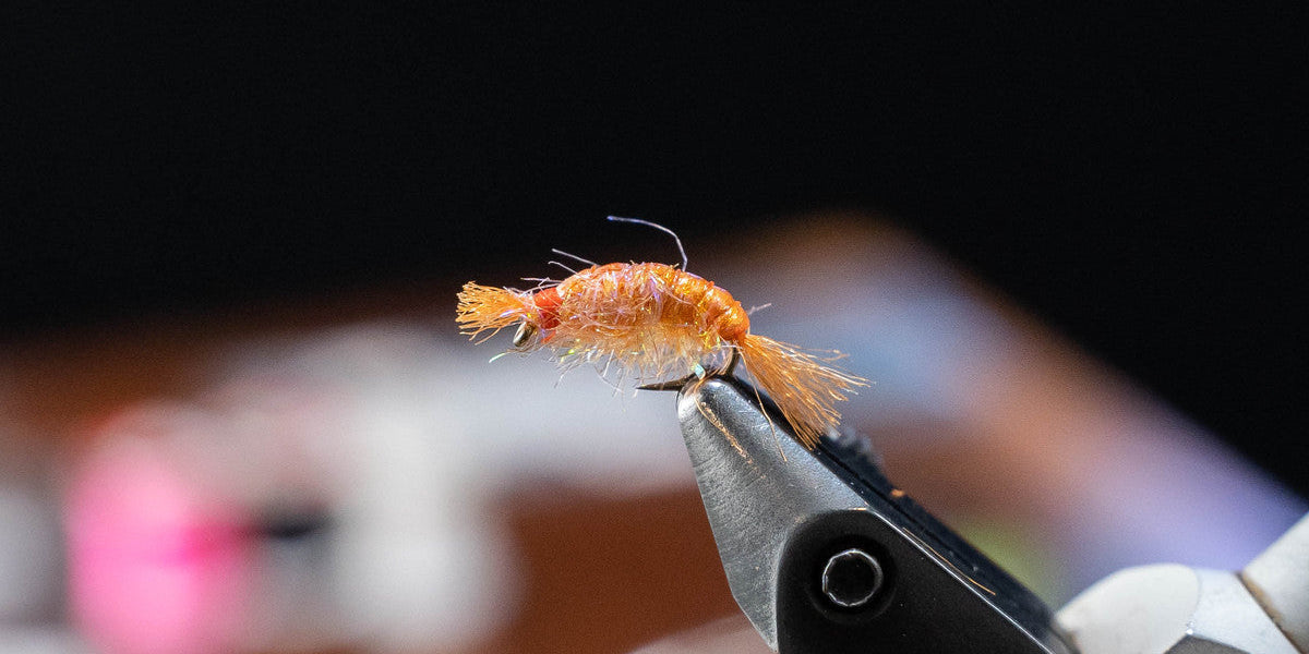 Fly Tying Video Tutorial: Dorsey’s UV Scud