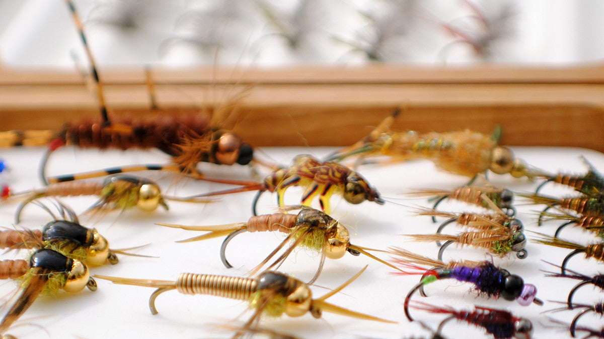 Test Your Fly Fishing Knowledge and Win Prizes with FlyCast