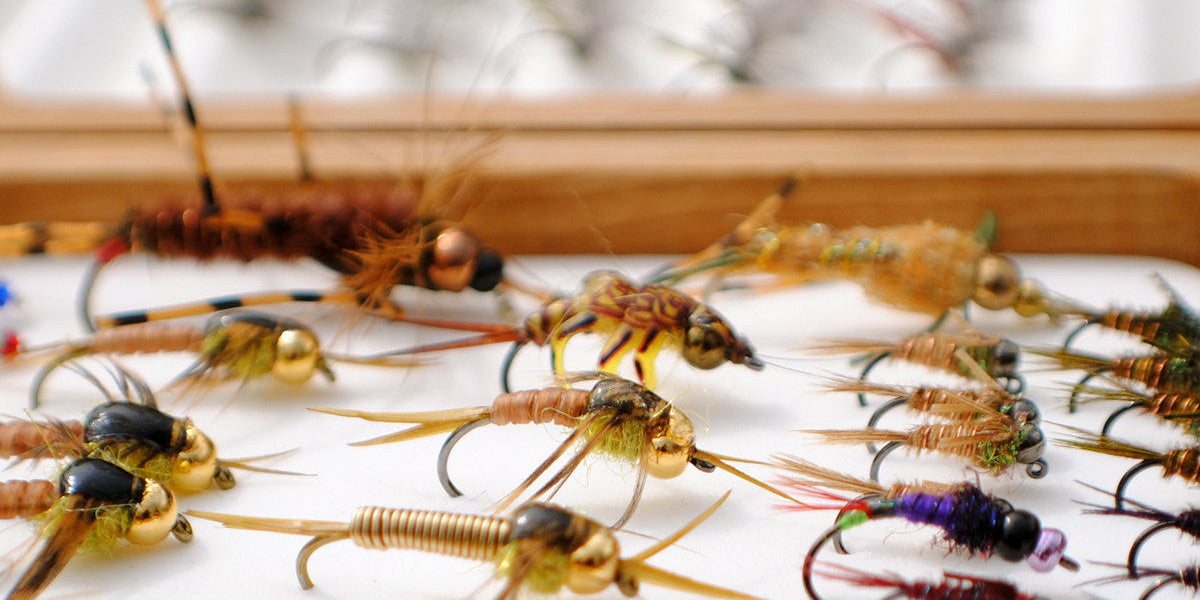 Test Your Fly Fishing Knowledge and Win Prizes with FlyCast