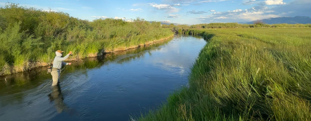 Frequently Asked Questions About Wet Wading