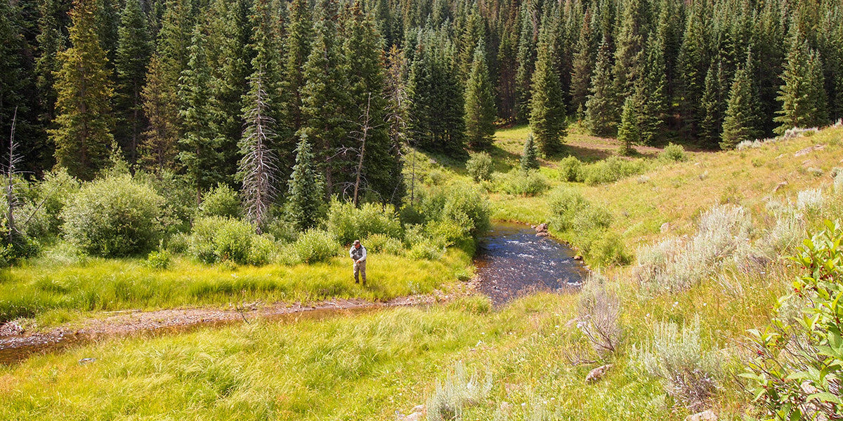 4 Places to find Great Fishing During Peak Runoff