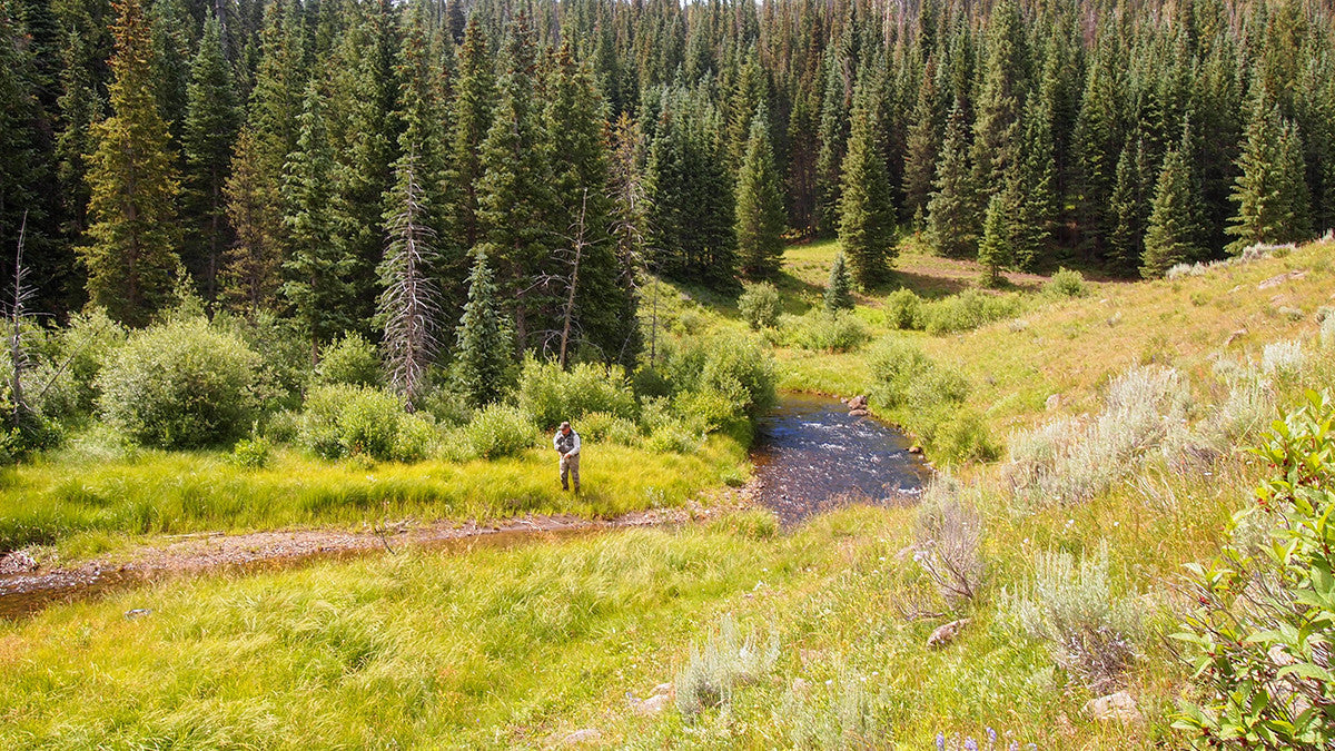 4 Places to find Great Fishing During Peak Runoff