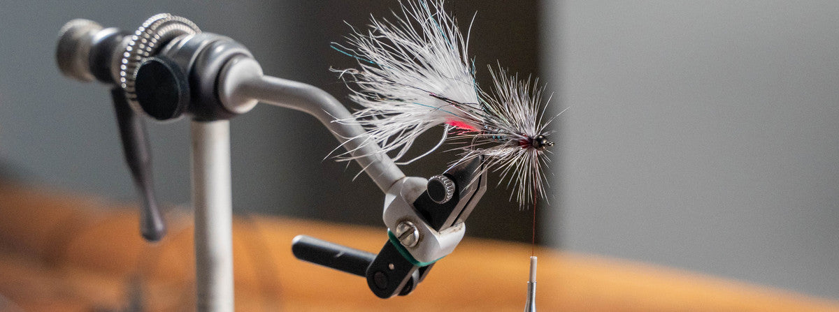 Beyond the Vise: A Conversation with Lily Renzetti