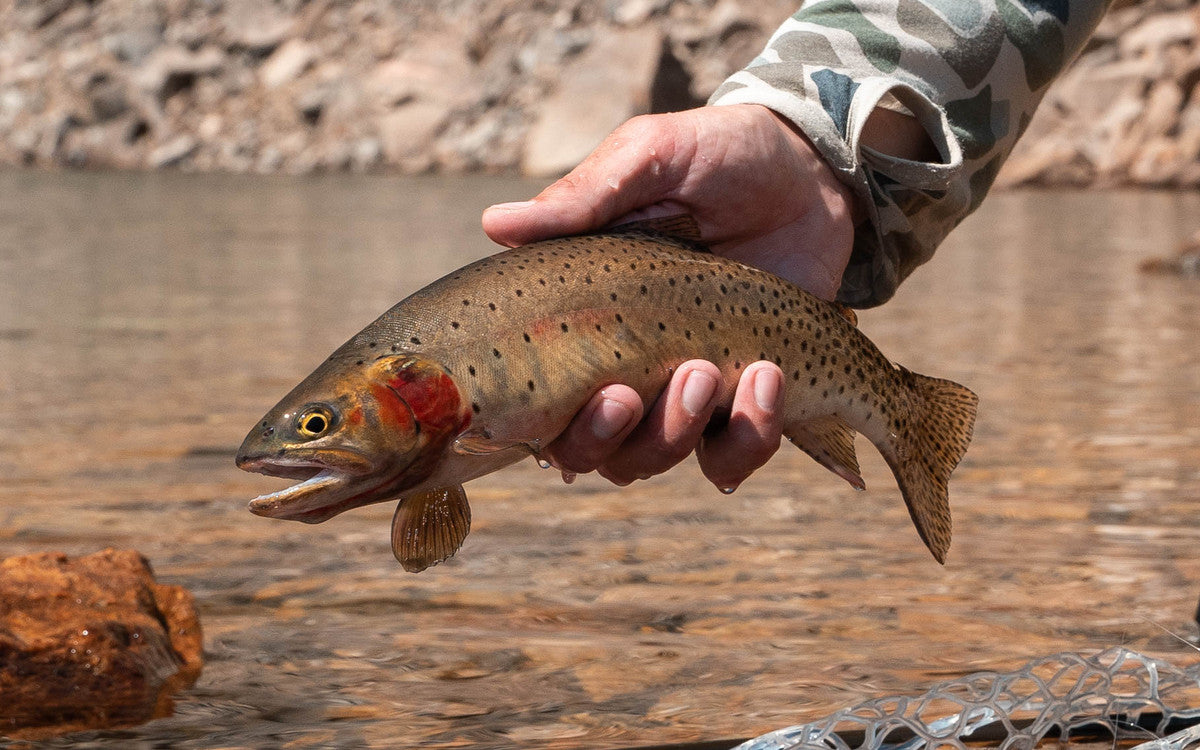 3 Things to Remember When Fishing High Alpine Lakes