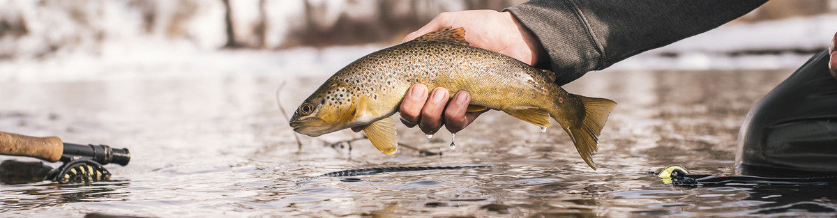 Winter Fishing Tactics: Go Big…Or Go Small