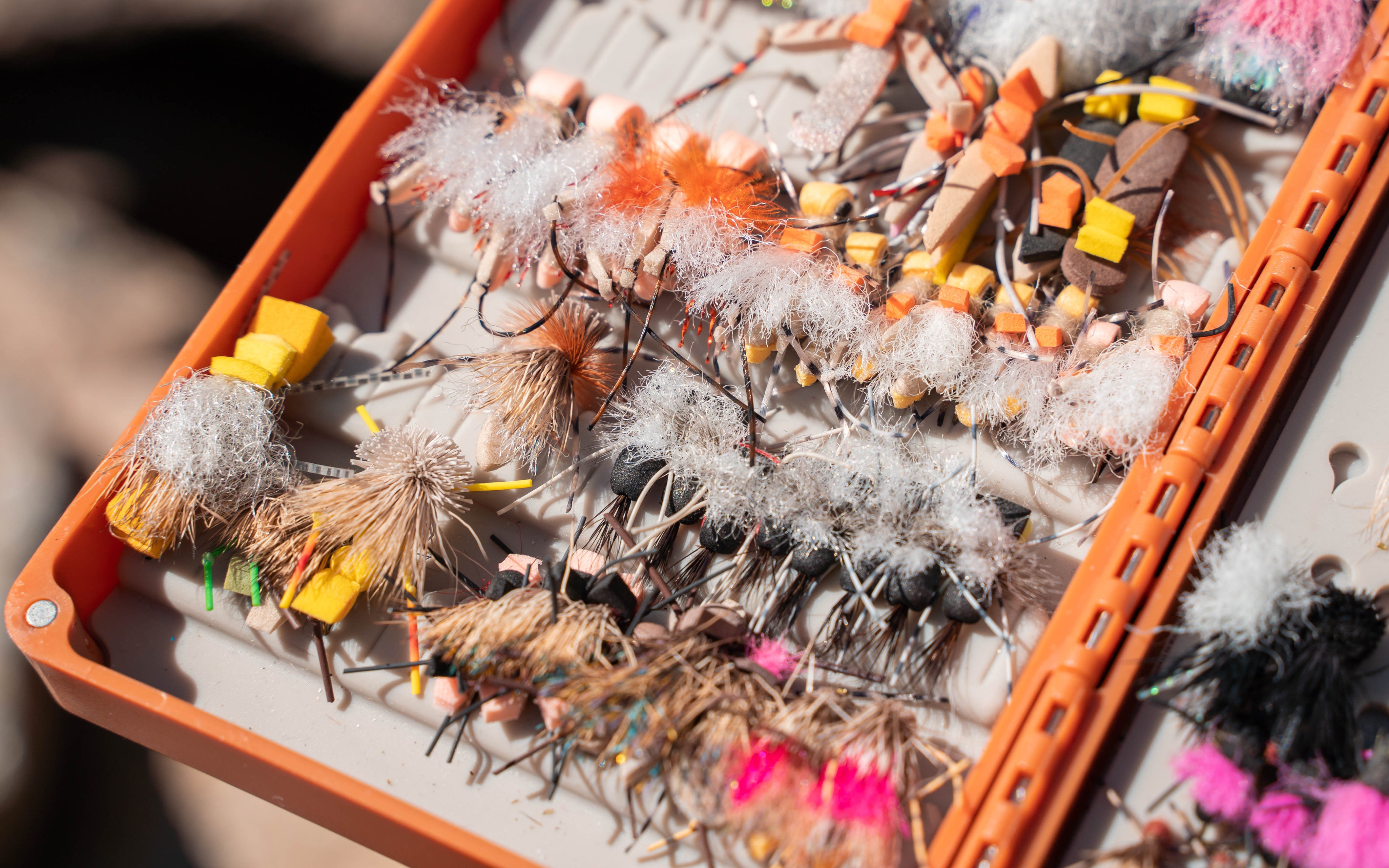 12 Favorite Flies for Colorado's High Alpine Lakes