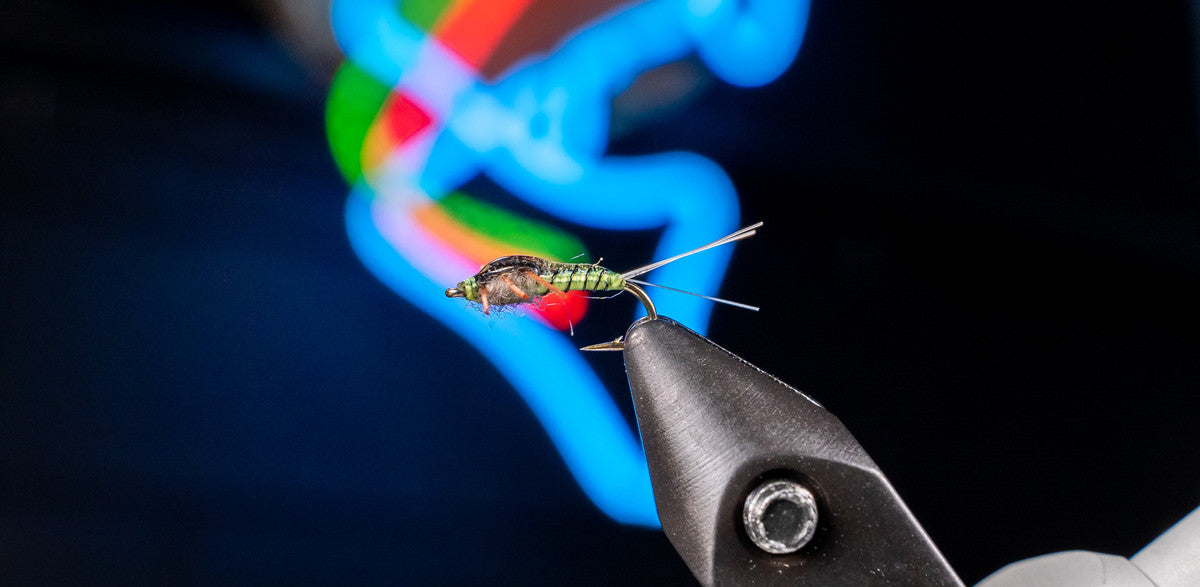 Tips for Fishing Spring Blue Winged Olives