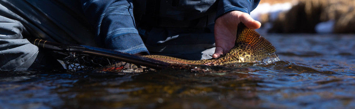 Tips to Remember When Practicing Catch and Release