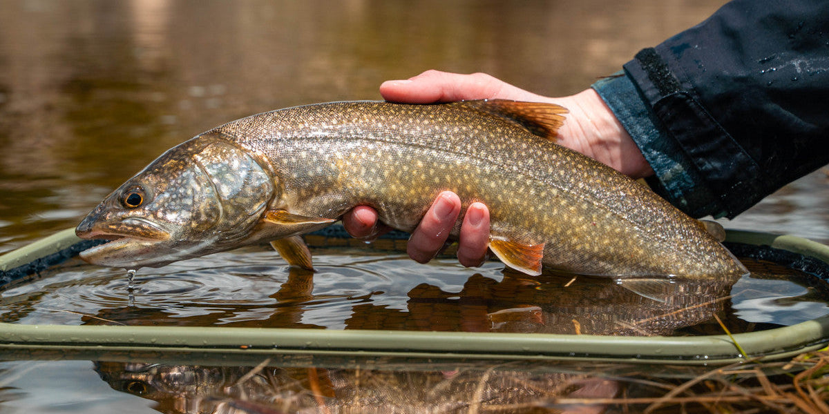 2024 Goals: Our Crew Shares Their New Year Fishing Aspirations