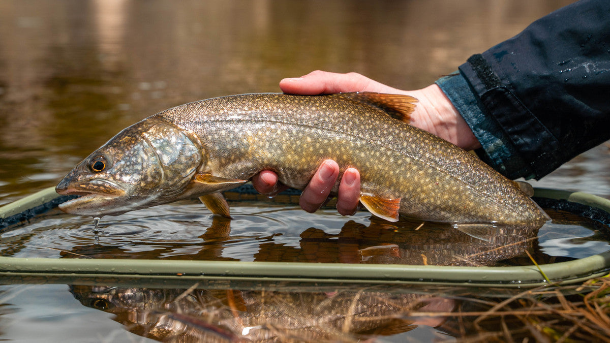 2024 Goals: Our Crew Shares Their New Year Fishing Aspirations