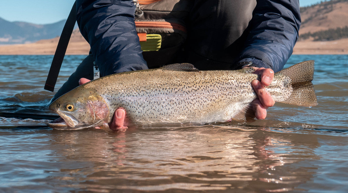 Our Favorite Flies for Ice-Off Streamer Fishing
