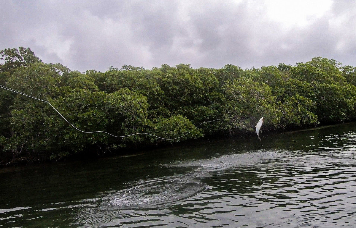 Video: How to Pack and Prepare for a Belize Saltwater Fishing Trip