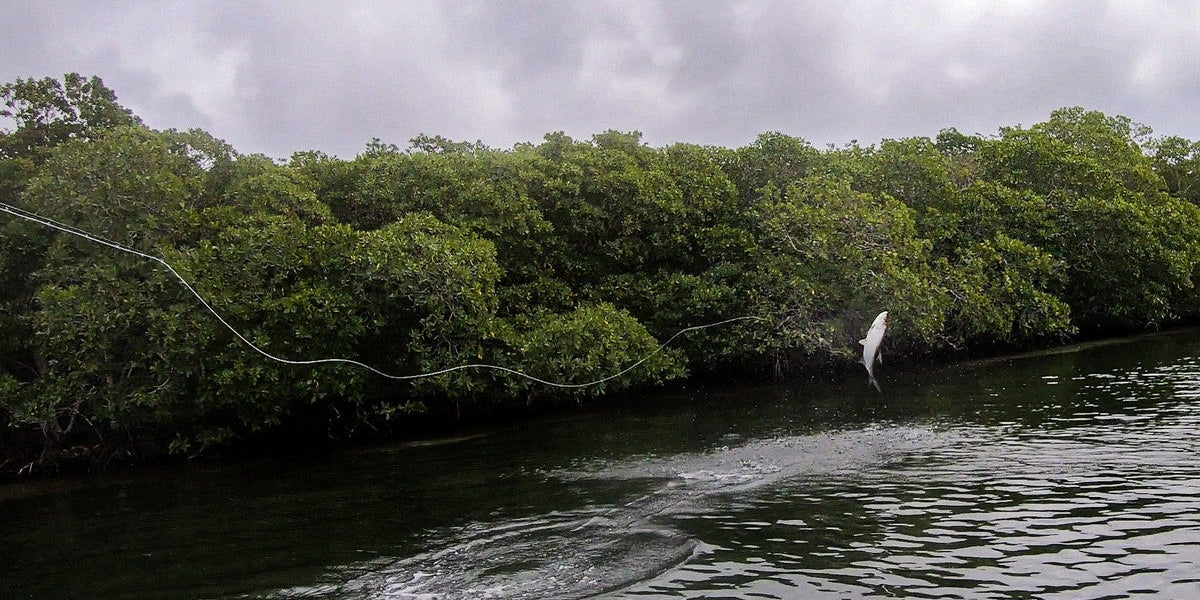 Video: How to Pack and Prepare for a Belize Saltwater Fishing Trip