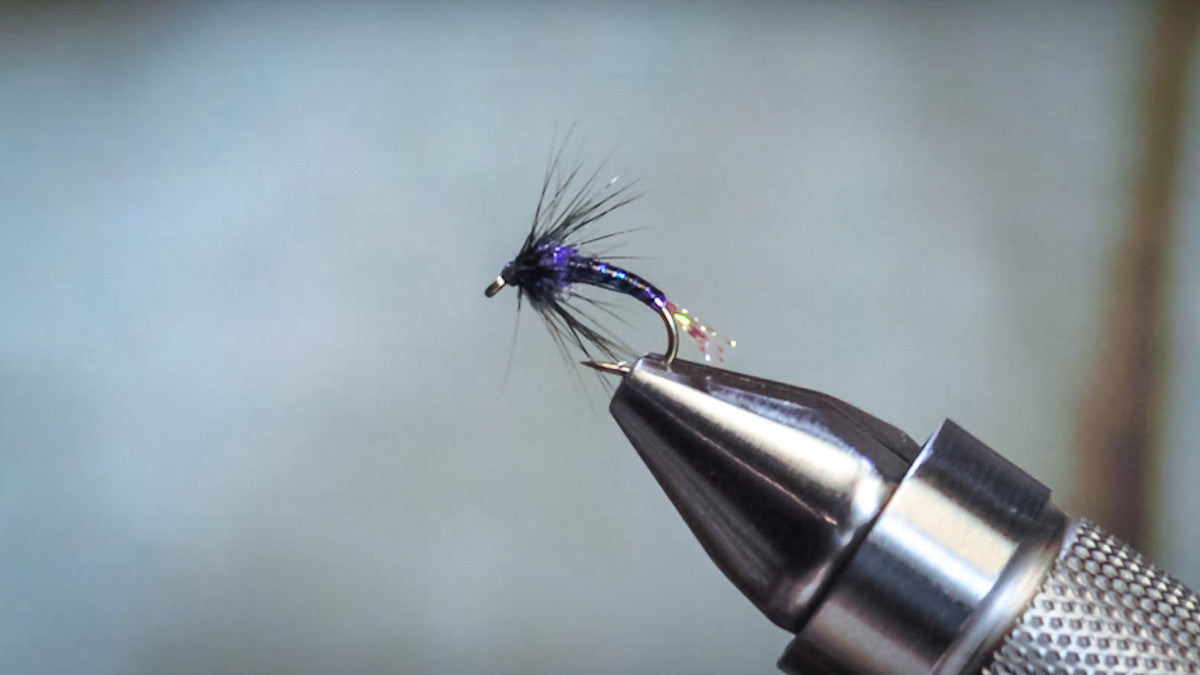 Purple Haze Soft Hackle in the New Fly Tying Video
