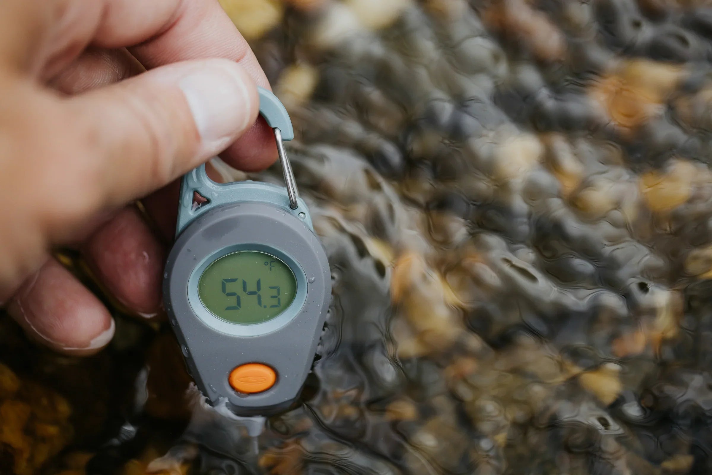 digital thermometer measuring water temp