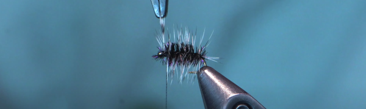 Fly Tying Video: Griffith’s Gnat with Ben Baxter