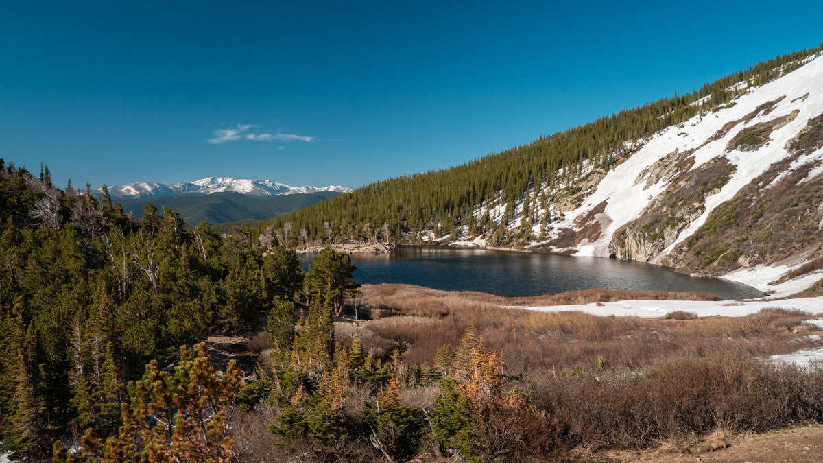 Confidence Flies For High Mountain Lakes