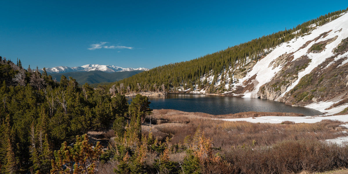 Confidence Flies For High Mountain Lakes