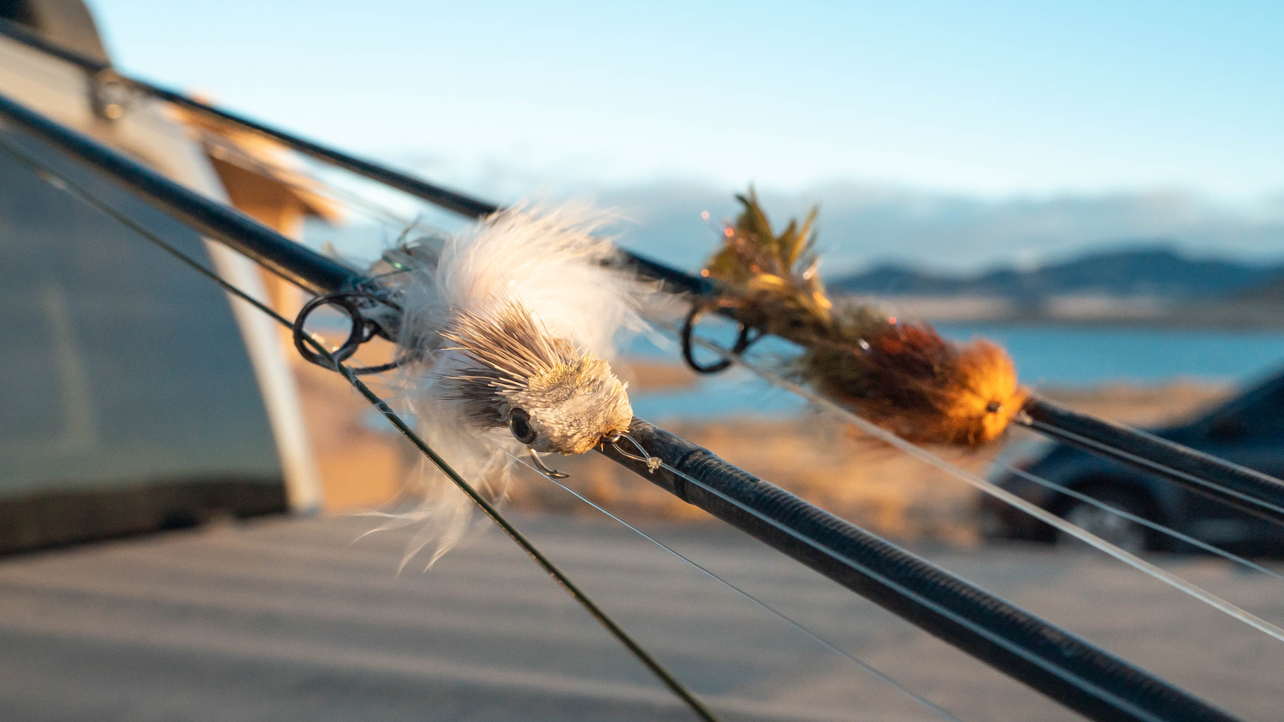Our Favorite Fall Streamers and Memorable Days on the Water