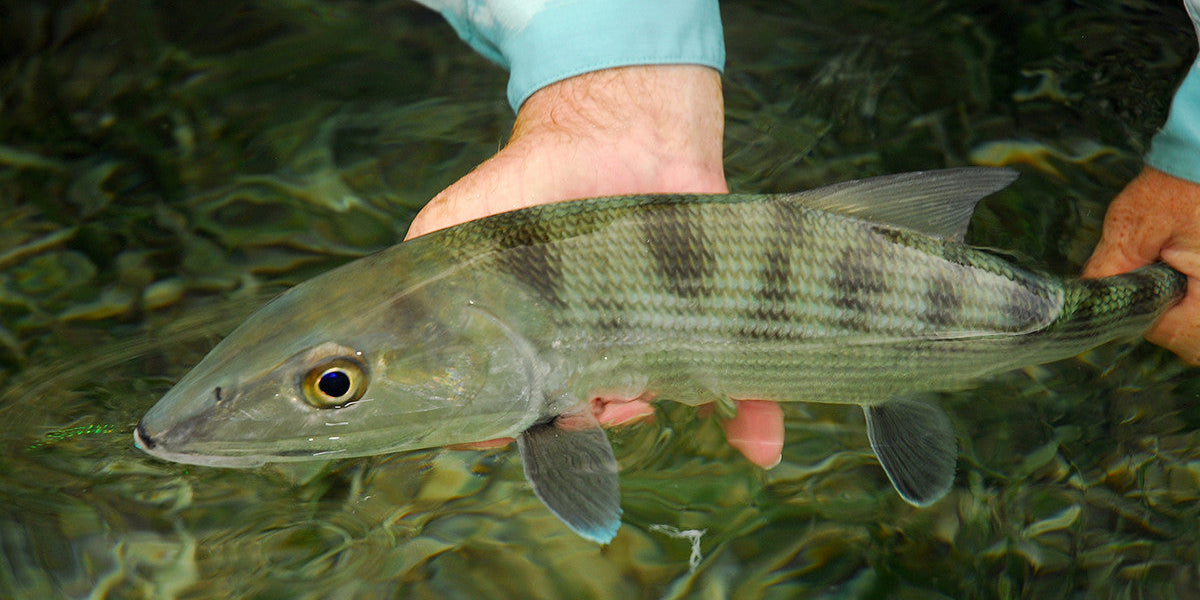 There's something for everyone in Belize