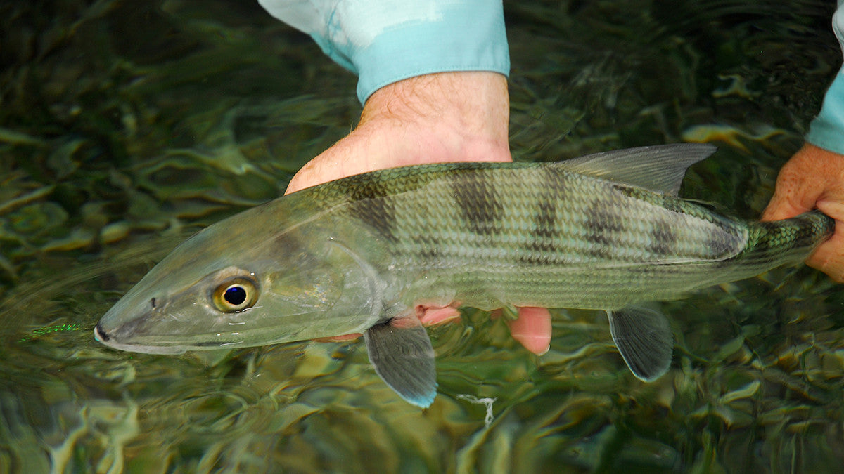 There's something for everyone in Belize