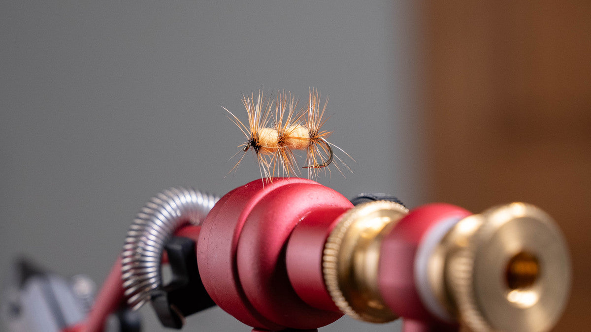 Fly Tying Video: GT's Triple Double with Delaney Chapman