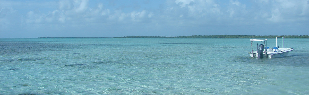 Conservation Update with Bonefish & Tarpon Trust