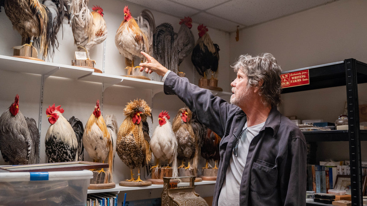 An Interview With Dr. Tom Whiting
