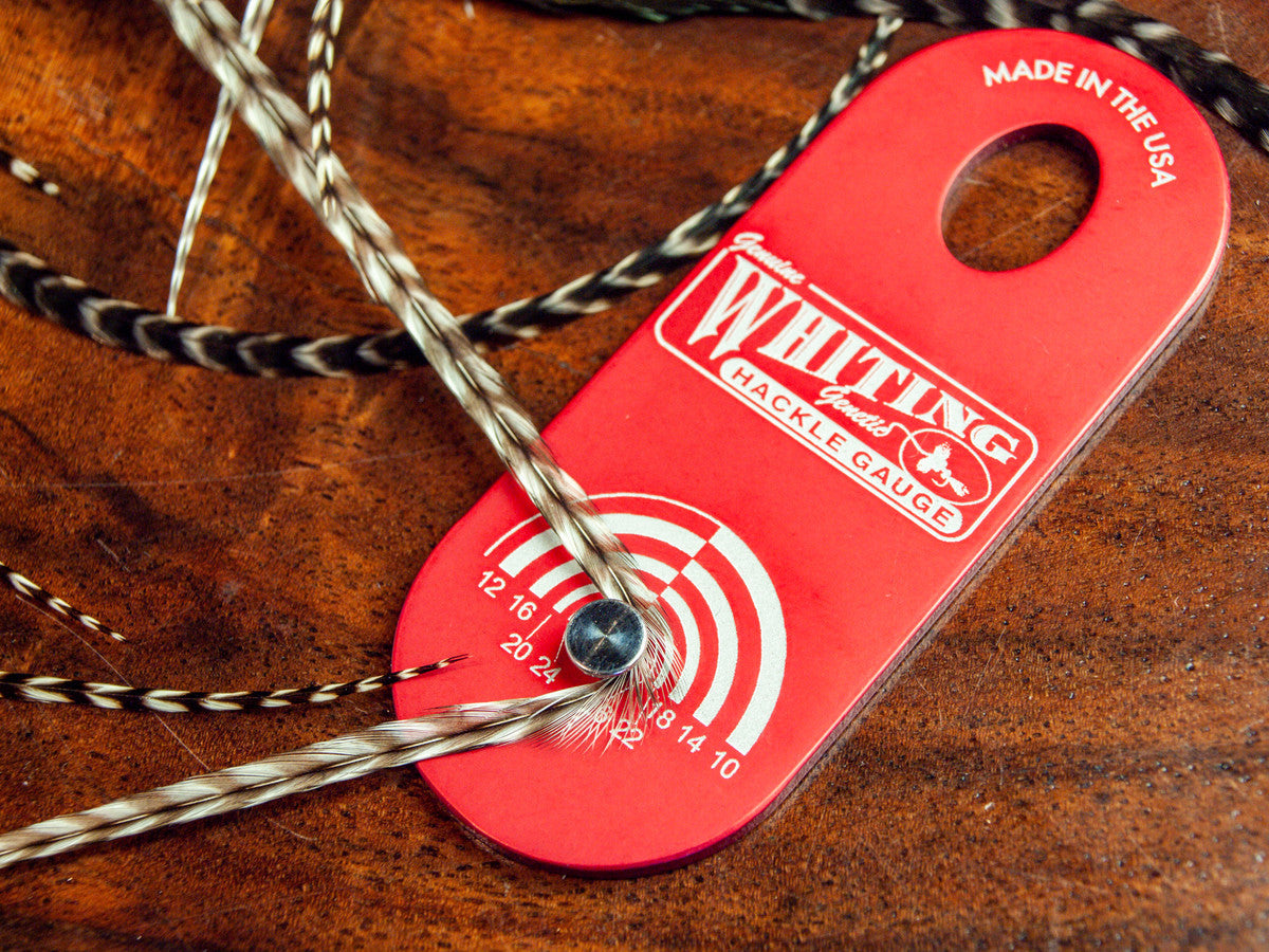 Fly Tying Classes and Resources at Anglers All