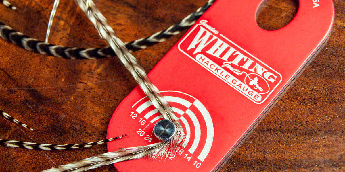 Fly Tying Classes and Resources at Anglers All