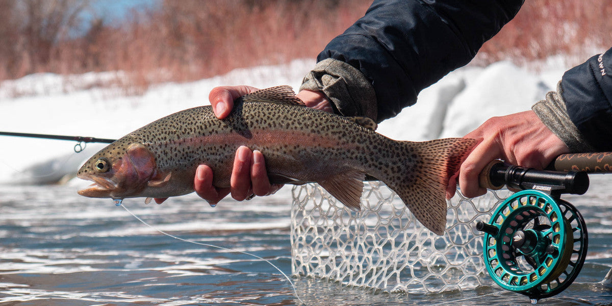 Tailwaters in the Winter: The Approach and Where to Begin