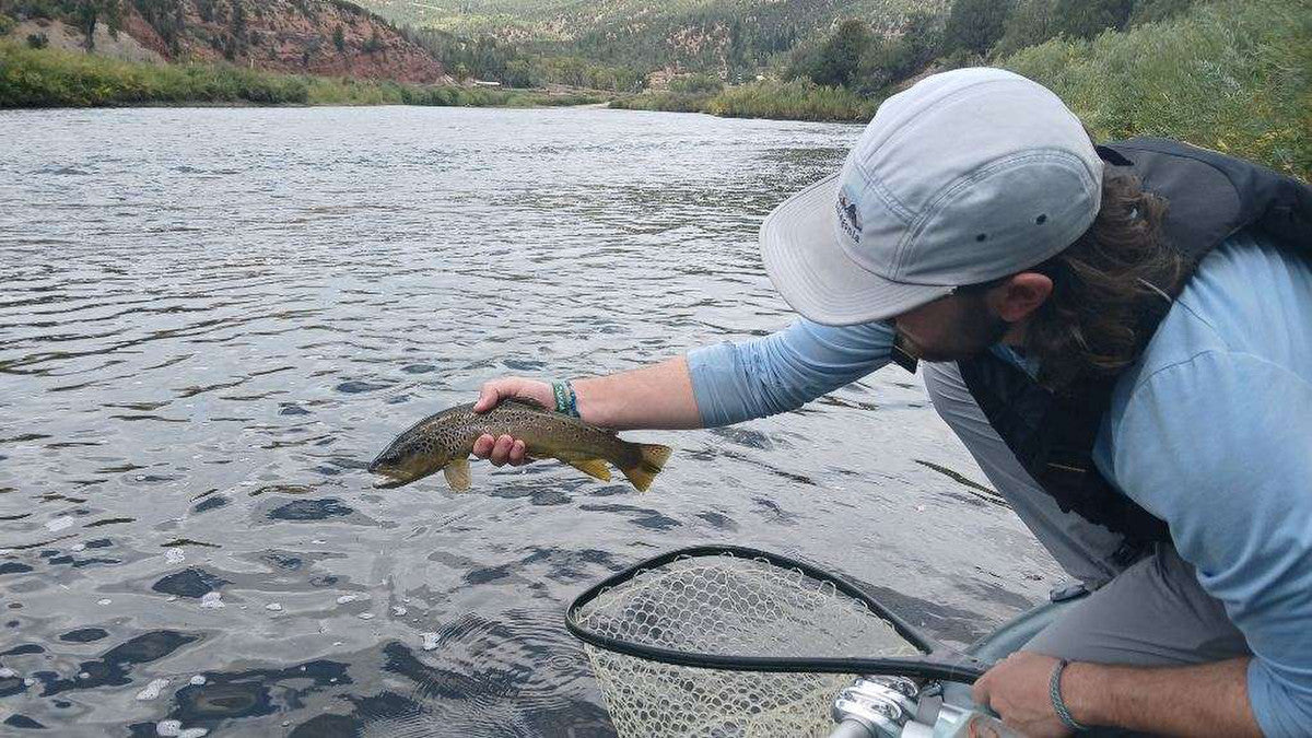 Fall Streamer Fishing: Tips, Tactics and Gear