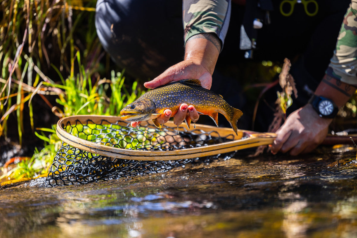 Budges Wilderness Lodge Fly Selection