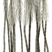 Whiting Farms Saddle 100 Packs