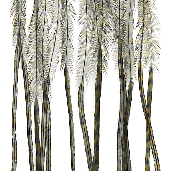 Whiting Farms Saddle 100 Packs