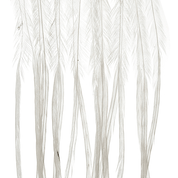 Whiting Farms Saddle 100 Packs