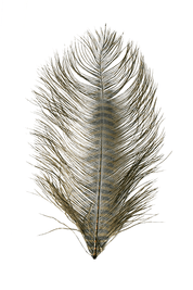 Montana Fly Company Barred Ostrich Plumes