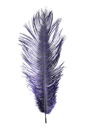 Montana Fly Company Barred Ostrich Plumes