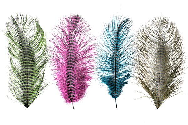 Montana Fly Company Barred Ostrich Plumes
