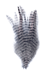 Montana Fly Company Barred Saddle Hackle