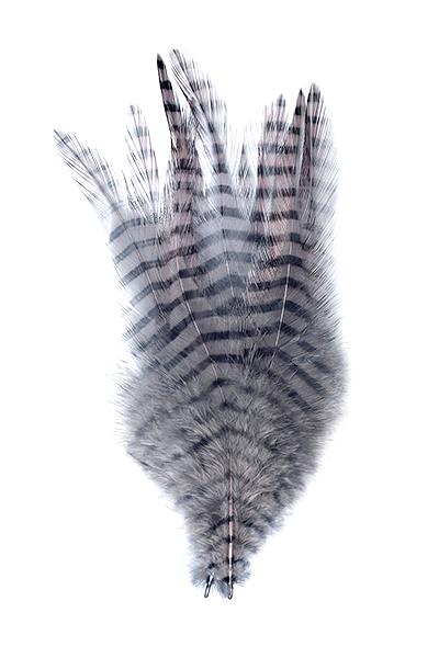 Montana Fly Company Barred Saddle Hackle