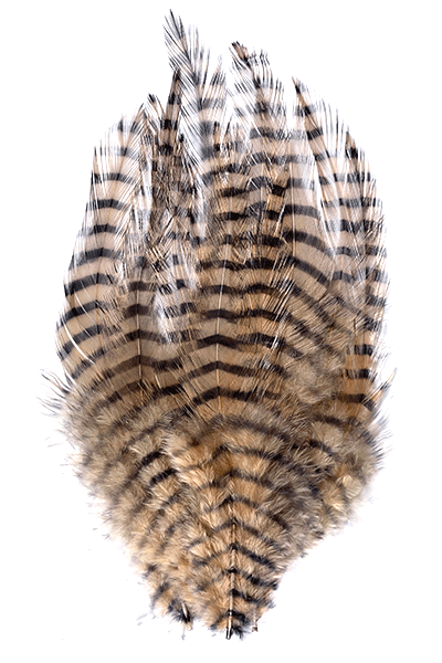 Montana Fly Company Barred Saddle Hackle