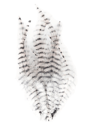 Montana Fly Company Barred Saddle Hackle
